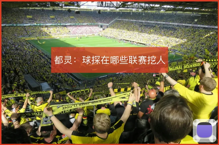 都灵:球探在哪些联赛挖人